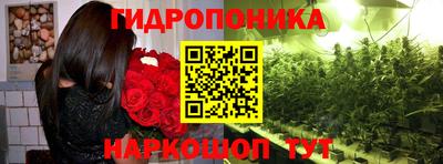 apvp Гусев