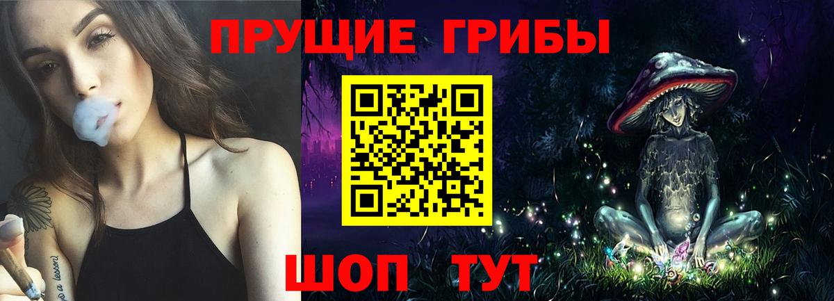 Зеленогорск  Псилоцибиновые грибы мицелий  Вход с VPN  Псилоцибиновые грибы MAGIC MUSHROOMS 